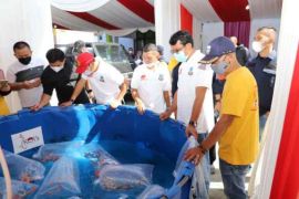 Pemkab Garut-Blitar kerja sama pengembangan budi daya ikan koi dan domba