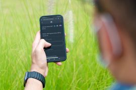 XL Axiata siap adopsi eSIM dan registrasi pelanggan berbasis biometrik