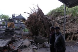 Angin kencang, pohon bertumbangan