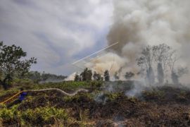 Kebakaran Hutan Dan Lahan Di Kotawaringin Barat Page 1 Small