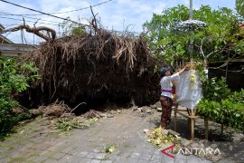 BMKG imbau masyarakat dan wisatawan waspadai angin kencang dan gelombang tinggi di Bali