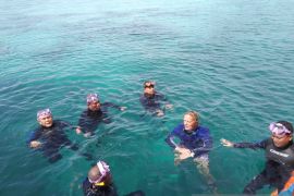 Pemkab Goronto Utara lakukan penanggulangan kerusakan terumbu karang