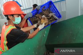 Kaleidoskop 2022, implementasi co-firing di PLN hasilkan 575,4 GWh listrik bersih