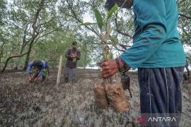 Indonesia dapat dana lingkungan 103,65 juta dolar AS