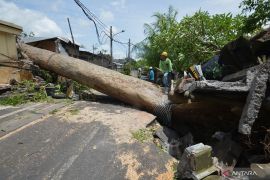 BMKG peringatkan potensi angin kencang 6-46 km/jam di Bali
