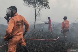 Waspadai potensi kebakaran hutan dan lahan di Sumatra