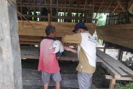 Diskannak Kabupaten OKU lanjutkan vaksin PMK dosis kedua untuk ribuan domba