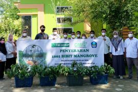 Dukung pelestarian alam di Pulau Widi, PT GMM sumbang 1.001 bibit mangrove