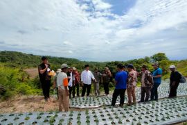 Pemprov Sulbar bantu pengembangan program food estate di Desa Baruga Majene