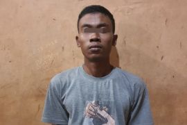 Pedofilia di Inhu cabuli 10 anak diringkus polisi