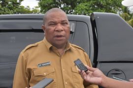 Biak canangkan program tanam satu juta pohon cabai