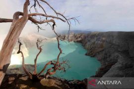 Status Gunung Ijen waspada usai aktivitas vulkanik meningkat