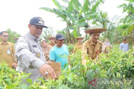 Desa Tayur simpan potensi agrowisata
