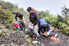 BKSDA Sumbar paksa turun pendaki Gunung Marapi