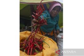 Cuaca Picu Kenaikan Harga Cabai Merah  Page 1 Small