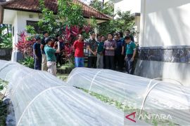Balai Benih Utama Badung optimalkan produksi bibit untuk petani