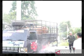 Vaksinasi PMK syarat ternak masuk Pasar Hewan Pelaihari