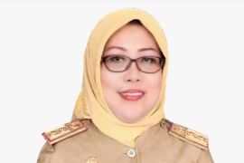 Diskop dan UKM Makassar lakukan pendampingan program Lorong Wisata