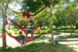 Puluhan "hammock" terpasang di objek wisata "Giong Siu" Mataram