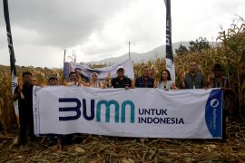 Program Makmur dongkrak hasil panen, Petani Karo: Terimakasih Pak Erick Thohir