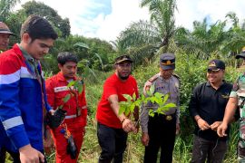 Pertamina Dumai bangun sentra pertanian terpadu