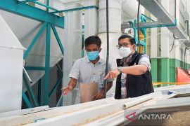 Rice assistance for 21.35 million recipients in packaging process: NFA