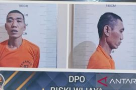 Polisi tangkap buron pemilik kebun ganja satu hektare di Empat Lawang