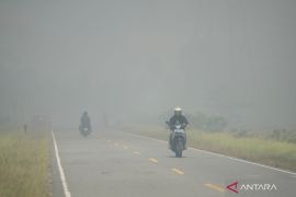 Taman Nasional Rawa Aopa Watumohai di Bombana terbakar