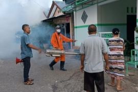 Dinkes - Karang Taruna Kota Kupang lakukan pengasapan cegah DBD