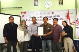 Petani sawit  di Inhu didorong lakukan sertifikasi