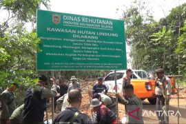 Tim gabungan patroli kawasan hutan di konsesi PKP2B PT AGM