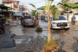 Tak kunjung diperbaiki, warga tanam dua pisang di Jalan Dharma Bhakti Pekanbaru
