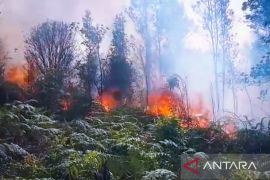 Polri monitor titik api cegah peningkatan kebakaran hutan