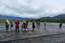 Lahar dingin Gunung Kerinci timbun 10 hektare persawahan warga Gunung Tujuh