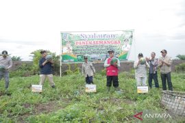 Bupati HSS apresiasi warga semangat bertani tanpa pandang musim