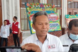 Kalsel waspadai penyakit DBD meski masih nol kasus