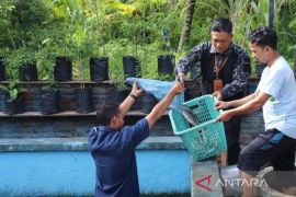 PT Mifa Bersaudara bina peternak lele di Aceh Barat