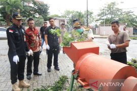 Balai Karantina Pertanian Kalsel musnahkan ribuan bibit jeruk ilegal