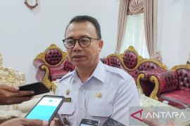 Wakil Bupati: Sektor pertambangan biji timah di Bangka masih diandalkan