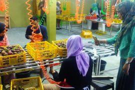 NTB ekspor manggis dan rambutan ke Dubai