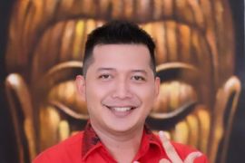 DPRD Kotabaru sinkronkan perencanaan strategi nasional dengan Pemda soal smelter