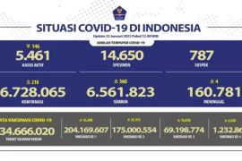 Satgas: Angka kesembuhan COVID-19 bertambah 360 orang