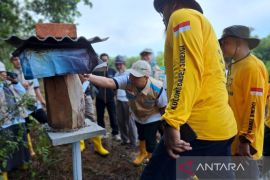 YBM PLN Babel salurkan bantuan usaha budidaya lebah madu