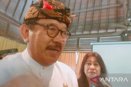 Bali harapkan kunjungan 700 ribu wisatawan Tiongkok di 2023