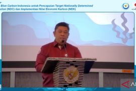 Govt to push seagrass, mangrove preservation to boost blue carbon