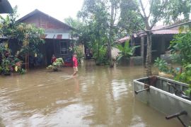 Pemukiman warga pesisir Batam terdampak banjir rob