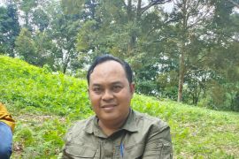 Mau nikmati durian enak di Aceh Jaya?