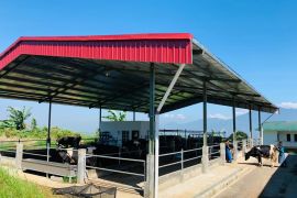 12.951 pelanggan sektor pertanian di Jawa Barat rasakan manfaat listrik