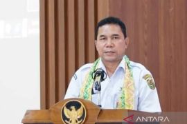 Banjarmasin tingkatkan status waspada penyakit DBD