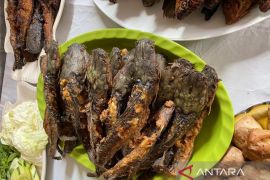 Importance of animal protein in reducing stunting cases